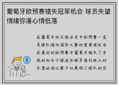 葡萄牙欧预赛错失冠军机会 球员失望情绪弥漫心情低落